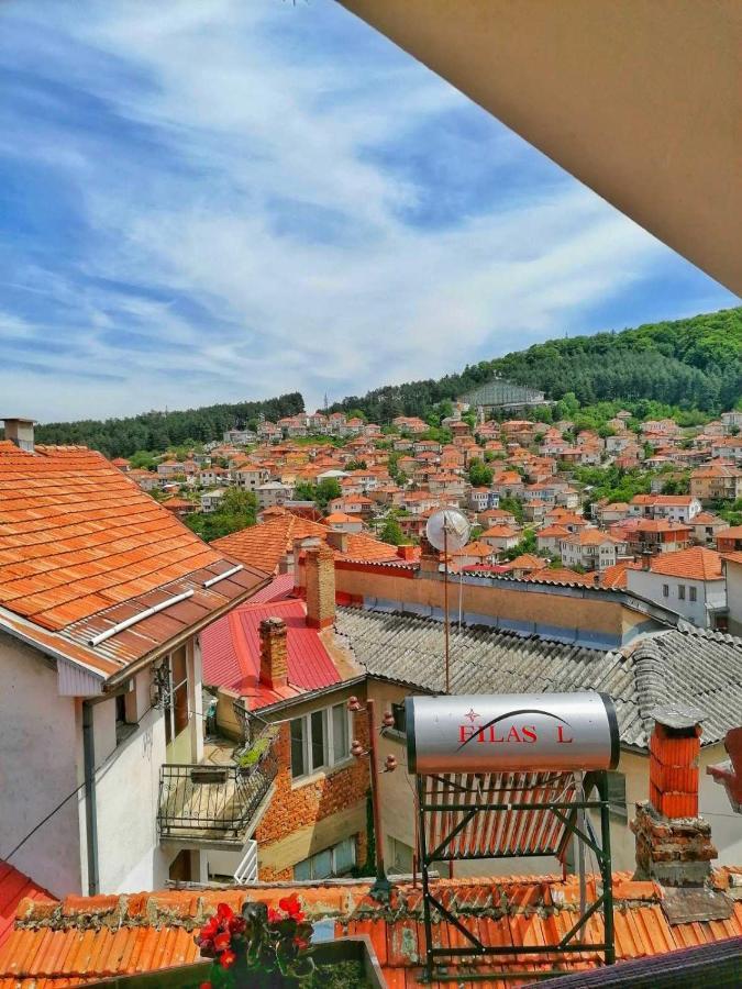 ***Vila Tose D. Kruševo エクステリア 写真